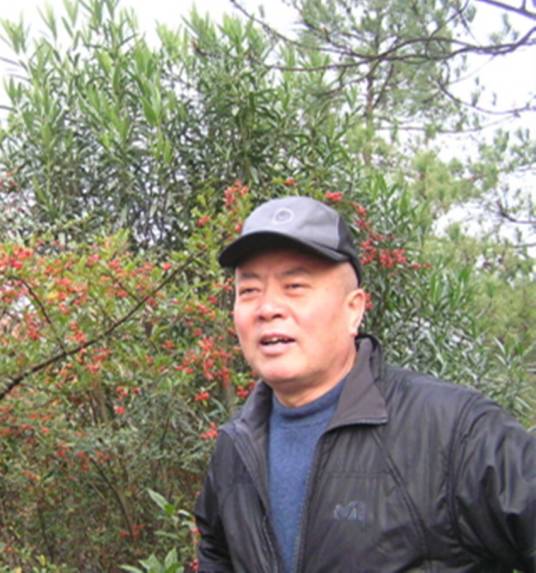 尼格木图