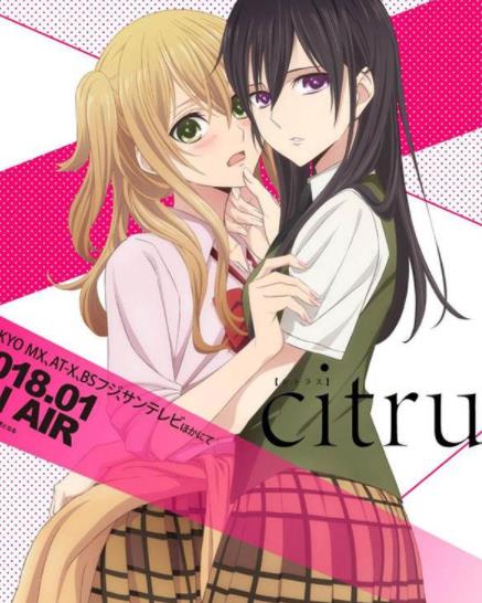 《柑橘味香气 Citrus》