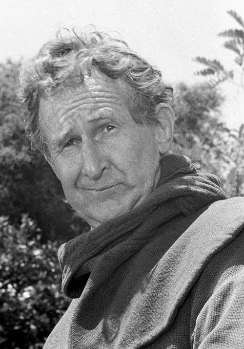 Doodles Weaver