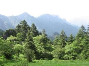 神农顶风景区