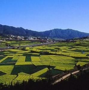 哀牢山风景区