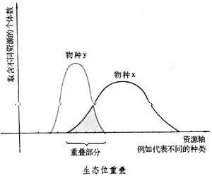 生态位