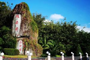 雁南飞茶田景区