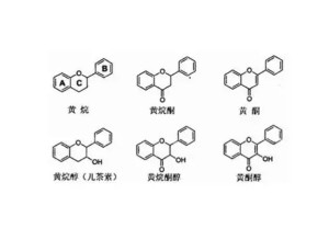 黄酮类