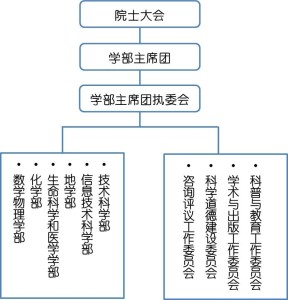 学部组织机构