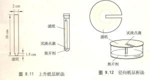 纸层析法