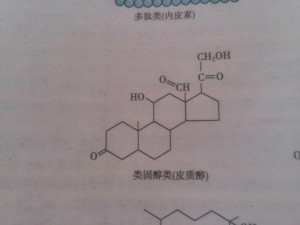 类固醇化学式