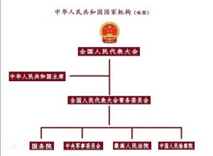 中华人民共和国国家机构（略图）