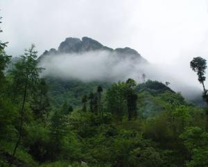 五峰土家族自治县风光