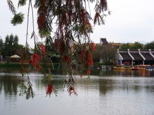 漳浦西湖公园