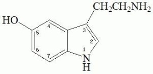 5-羟色胺 的分子式