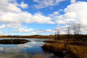 阿尔山杜鹃湖