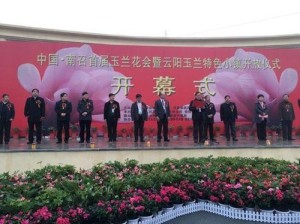 中国·南召玉兰花会