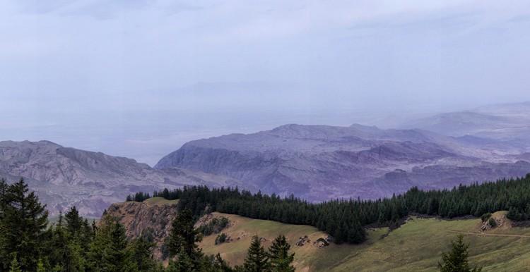 龙首山西段最高峰（主峰）东大山