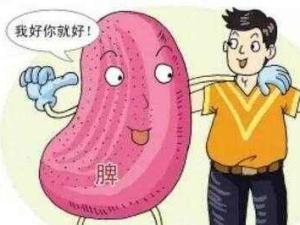 脾胃虚寒