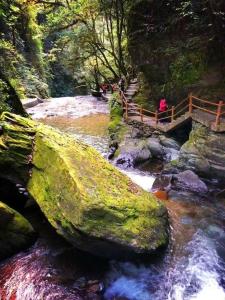 哀牢山茶马古道