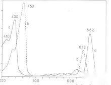 叶绿素a,b的吸收峰