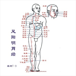 足阳明胃经