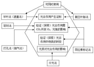 光合作用