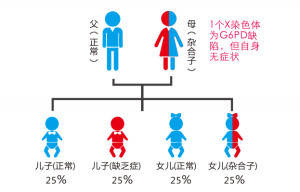 遗传风险