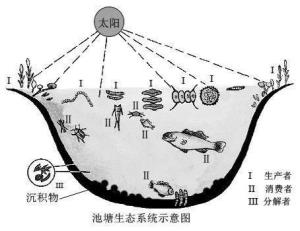 淡水生态系统