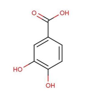 原儿茶酸