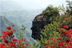 苏马荡景区