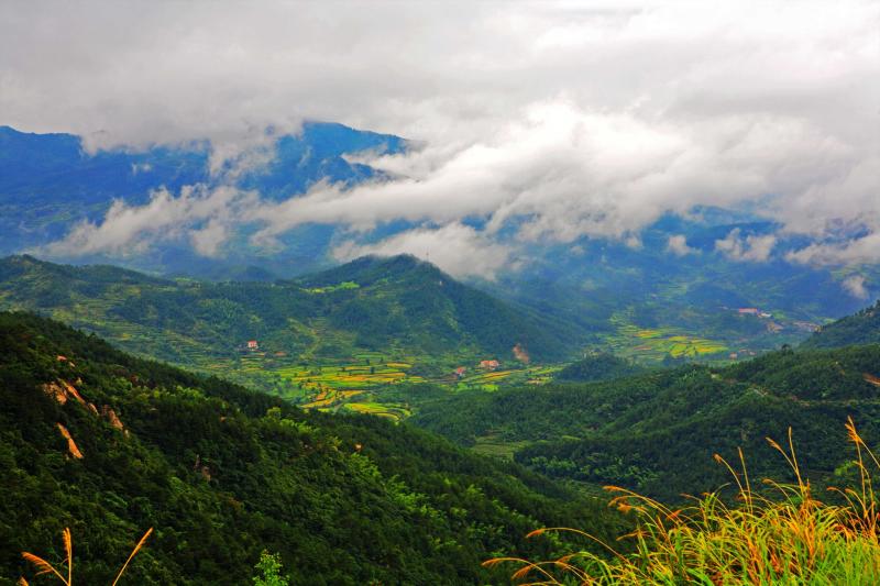 大崎山森林公园