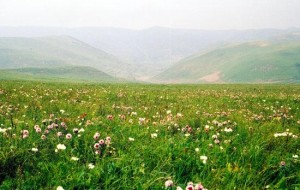 高原山地性气候