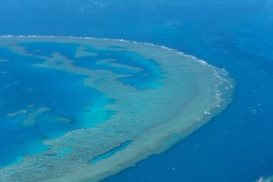 珊瑚海