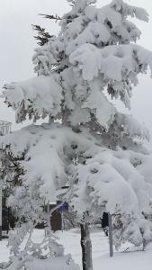 城口县雪景