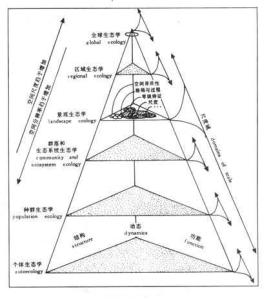 景观生态学