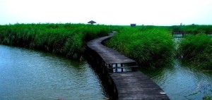 太平河风景区