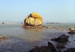 汛洲岛海岸水母石