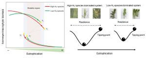 图1 沉水植物稳态转化的化学计量机制示意图