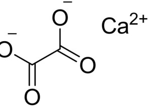草酸钙