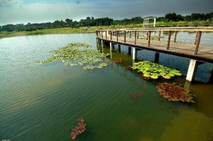 西沙湿地公园