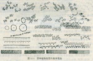 林冠线图册