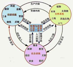 城市生态系统