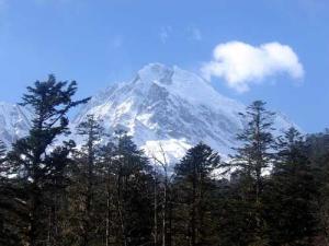 海螺沟冰川森林公园