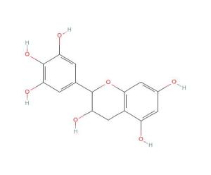 表没食子儿茶素