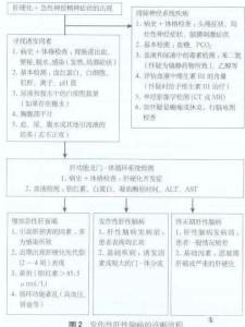 脑水肿的诊断