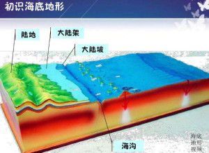 大陆架