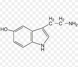 5-羟色胺