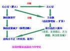 心脏（脊椎动物的中心器官）图册