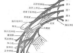 臂痛