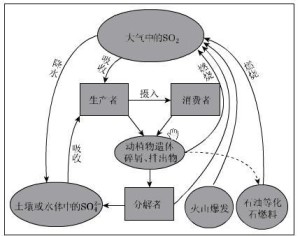 生态系统