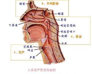 剖面图