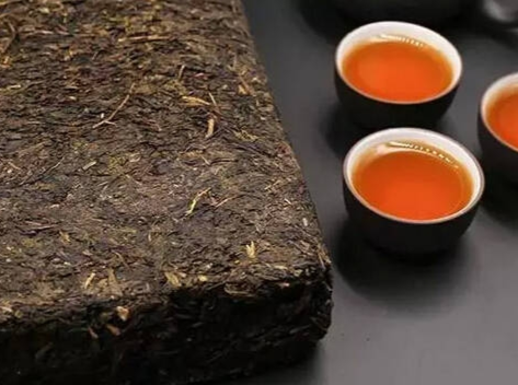 茯茶