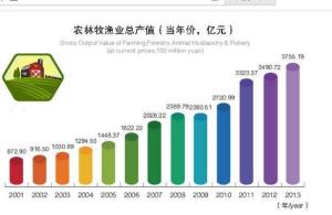 农林牧渔业总产值